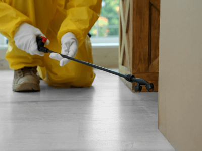 About VermiNova Home Defense - pest control services experts in Mount Lawley